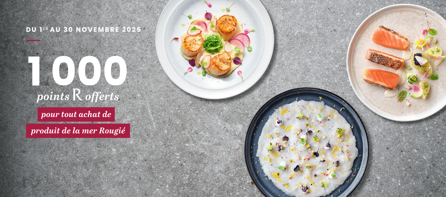 PAGEACCUEILNONLOGUE3